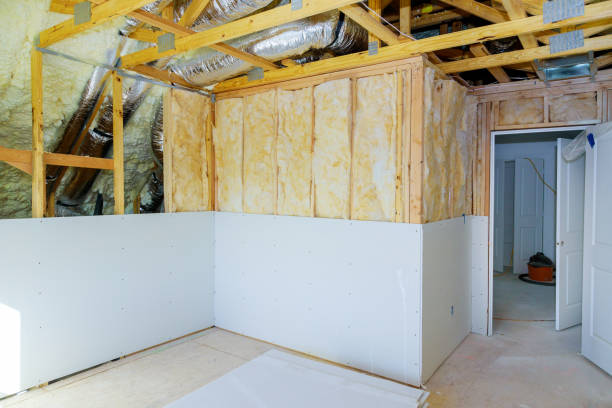 Best Spray Foam Insulation  in Wilsons Mills, NC