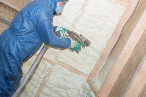 Best Batt and Roll Insulation  in Wilsons Mills, NC