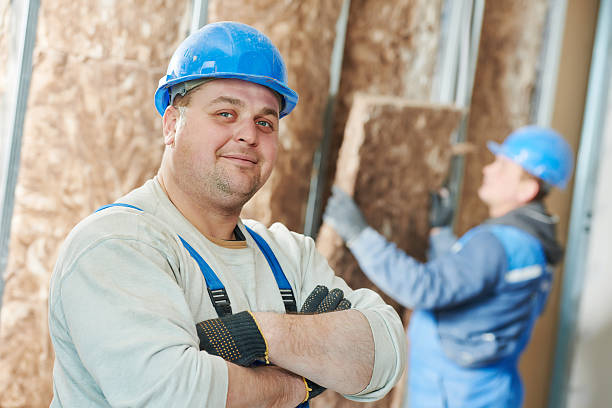 Best Attic Insulation Installation  in Wilsons Mills, NC